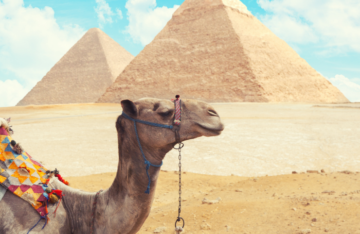 Egipt, tărâmul transformării